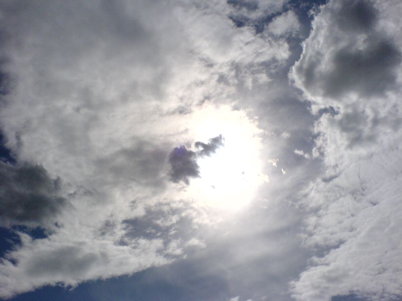 DSC00459