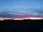 DSC00454