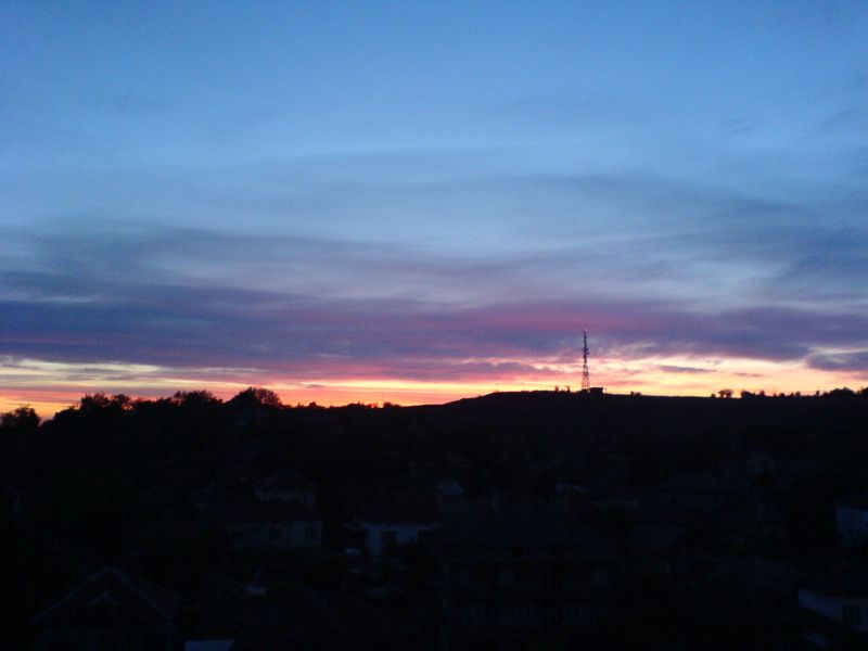 DSC00454