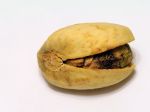 Pistachio