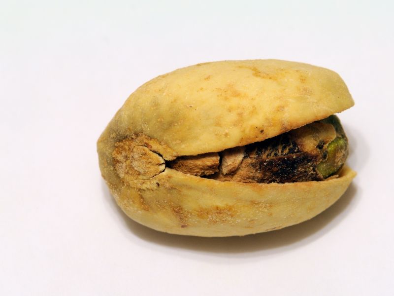 Pistachio