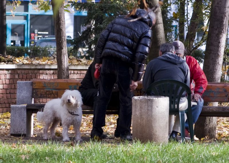 Borred