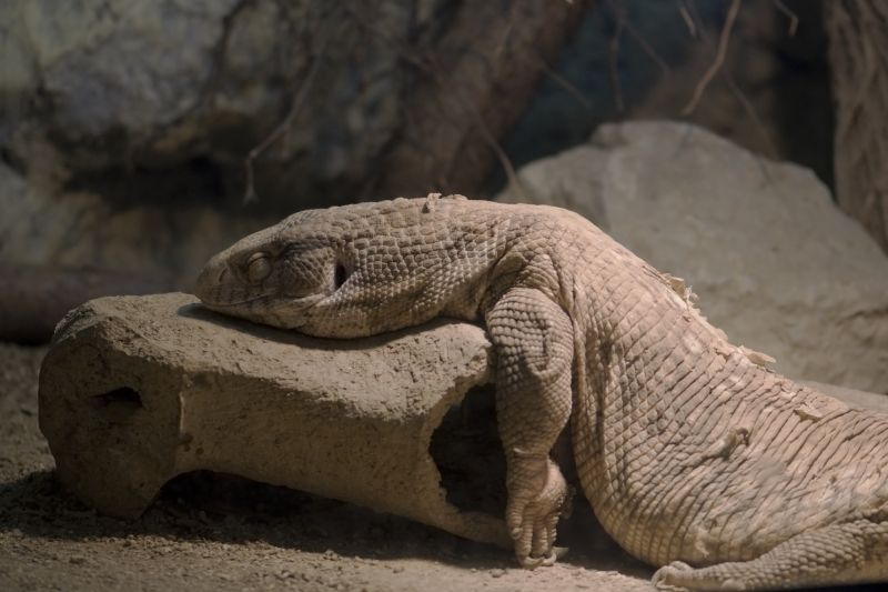 In the Sun