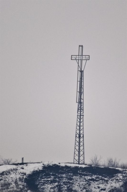 DSC_9917