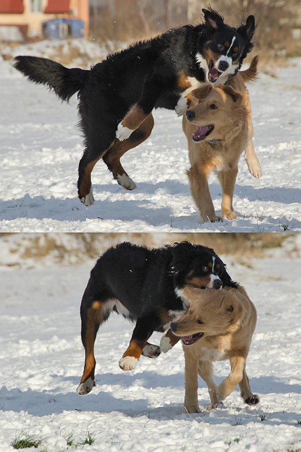Flying Attack