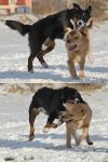 Flying Attack