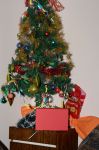 DSC_3846.JPG